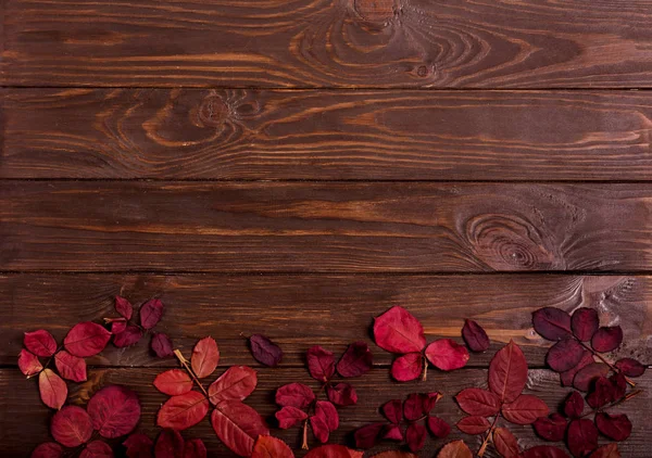 Koyu ahşap backgro sonbahar Kızıl yapraklar düz yatıyordu çerçeve
