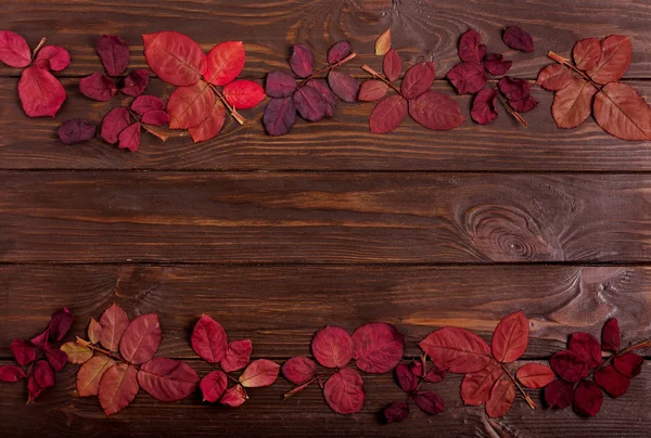 Koyu ahşap backgro sonbahar Kızıl yapraklar düz yatıyordu çerçeve