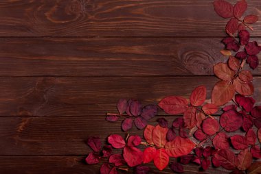 Koyu ahşap backgro sonbahar Kızıl yapraklar düz yatıyordu çerçeve