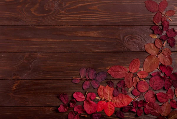 Koyu ahşap backgro sonbahar Kızıl yapraklar düz yatıyordu çerçeve
