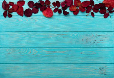 Kızıl sonbahar yaprakları ve ceviz ahşap üzerinde düz yatıyordu çerçeve 