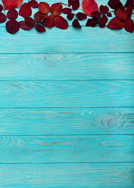 Ahşap arka plan üzerinde sonbahar Kızıl yaprak düz yatıyordu çerçeve 