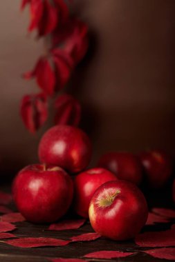 Sonbahar tek renkli natürmort kırmızı ve bordo tonları içinde. 