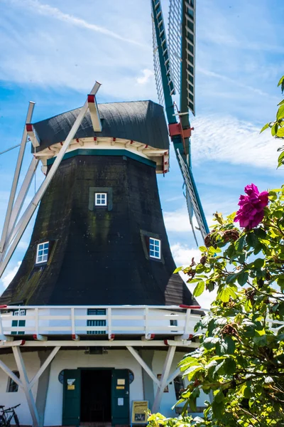 Alte Windmühle in Ostfriesland lizenzfreie Stockbilder