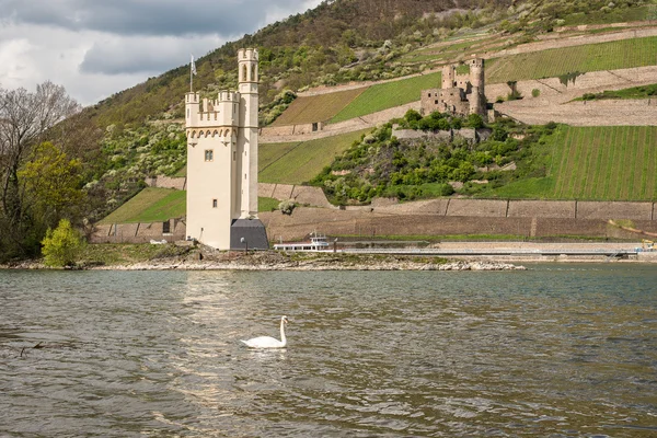 Maeuseturm i vatten i Rhen — Stockfoto