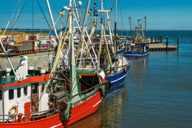Accumersiel Harbor kesici