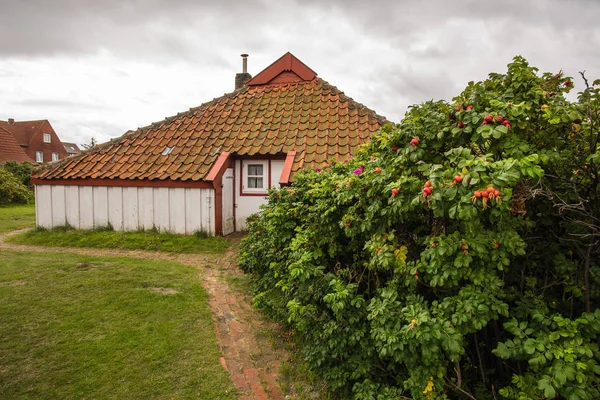 Eski evin Baltrum Adası