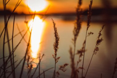 Gölde sıcak sarı gün batımı