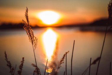 Gölde sıcak sarı gün batımı