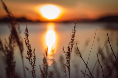Gölde sıcak sarı gün batımı