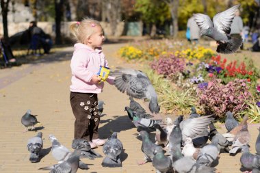  güvercin besleme tohumlar bir parkta kız