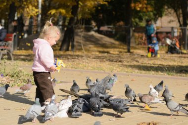  küçük bebek parkta güvercin besleme