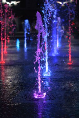 Gece vakti menekşe ve mavi fıskiye