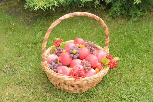 a rich harvest in a wicker basket
