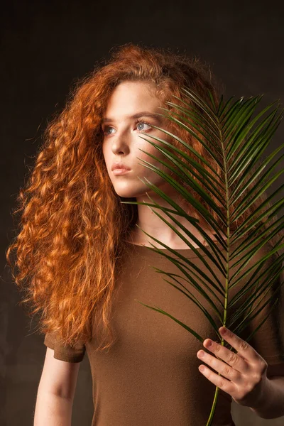 Energizer beautiful young curly ginger hair woman with green tropical plant palm branch posed in dark walls studio. Copy space background.