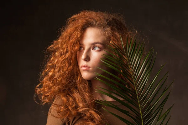 Koyu renk duvar atölyesinde yeşil tropikal palmiye dalına sahip güzel kıvırcık saçlı kadın. Boşluk arkaplanı kopyala.