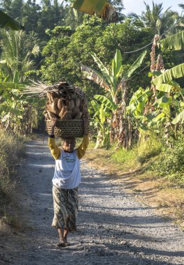 Asyalı kadın işçi