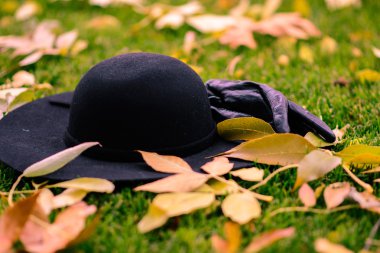 Eldiven ve şapka parkta yapraklar
