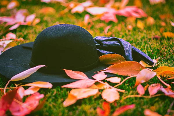 Handschuhe und Mütze in den Blättern im Park — Stockfoto