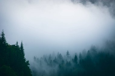 Dağlarda sisli bir sabah