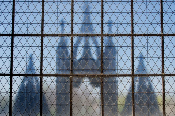 Ventana de la iglesia en Kutna Hora —  Fotos de Stock