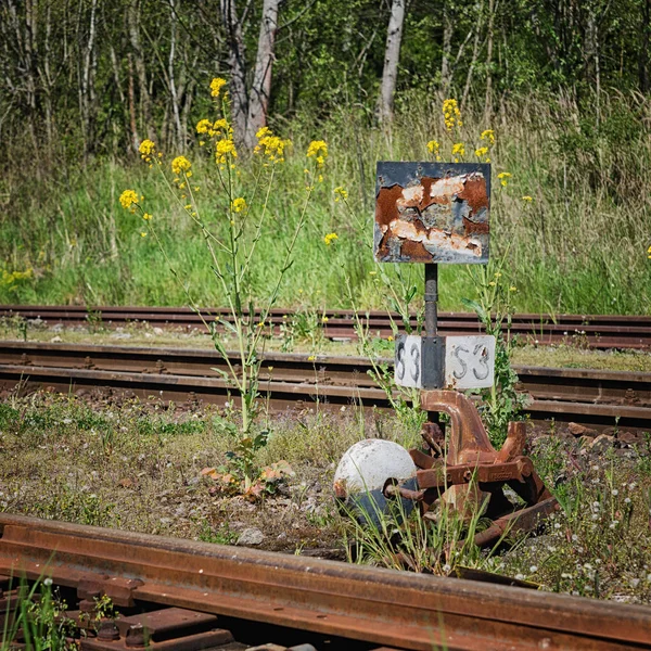 Trens antigos desmamados — Fotografia de Stock