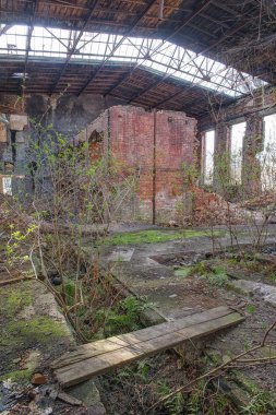 Gizemli Dymokursky şeker fabrikası