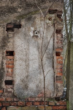 Terk edilmiş alan yıkıldı scout