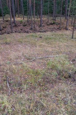 D1 otoyolunda kullanılmayan otoyol köprüsü, sonunda başka bir yola çıkıyor. Bugün, planlanan bir otoyolda yerel bir otoyol var, diğeri ise ormanla kaplı..