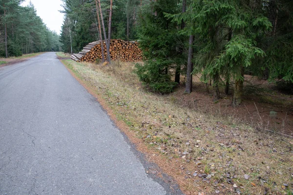 Oanvänd Motorvägsbro Motorvägen Som Småningom Leder Ett Annat Sätt Idag — Stockfoto