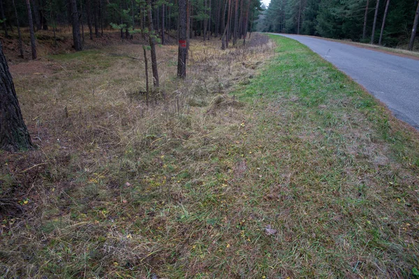 Oanvänd Motorvägsbro Motorvägen Som Småningom Leder Ett Annat Sätt Idag — Stockfoto