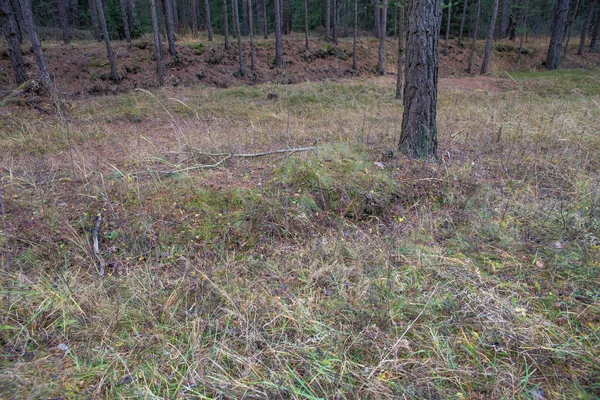 Használatlan Autópálya Híd Autópályán Ami Végül Más Irányba Vezet Van — Stock Fotó