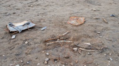 Köprü, 1848 yılında inşa edilen eski zincir köprünün yerine 1939 ve 1943 yılları arasında inşa edildi. Bu köprü 1960 yılında Orlk Barajı 'nın inşaatı ile bağlantılı olarak söküldü ve Lunice Nehri' ne taşındı.