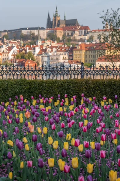 Praga Capital Maior Cidade República Checa Décima Quarta Maior Cidade — Fotografia de Stock