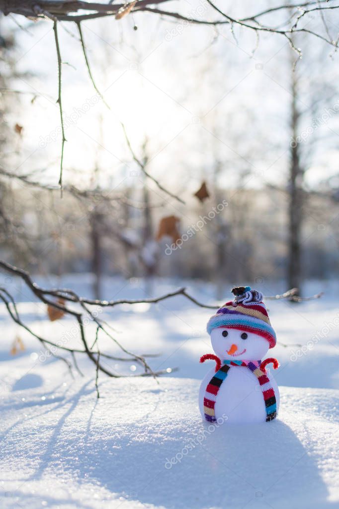 Little snowman in the park