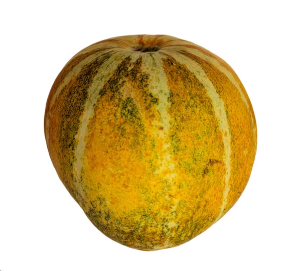 Gula cantaloupemelon — Stockfoto