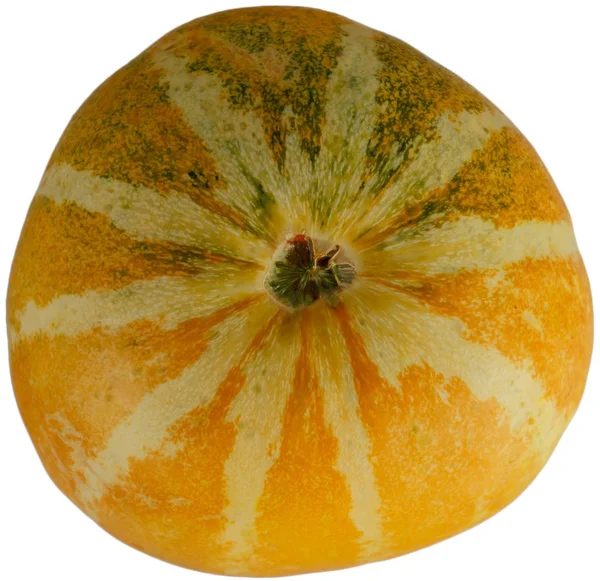 Melone di melone giallo — Foto Stock