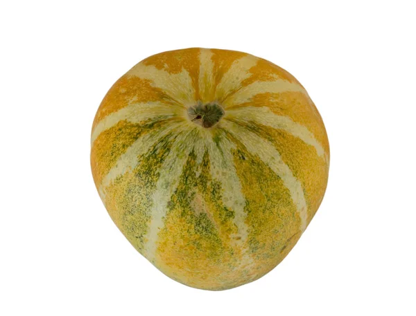 Yellow cantaloupe melon — Stock Photo, Image
