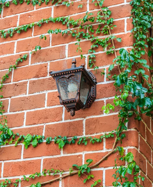 Retro wall lamp, with on green climber wall