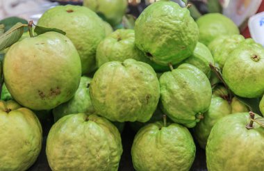  Birçok taze guava meyve ile seçici Satılık