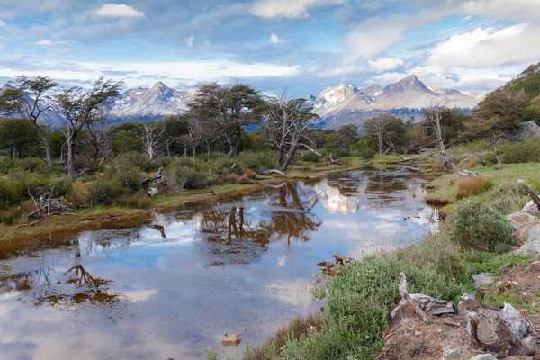 Wilderness in the " Tierra del fuego National Park " Patagonia — Stock Photo, Image