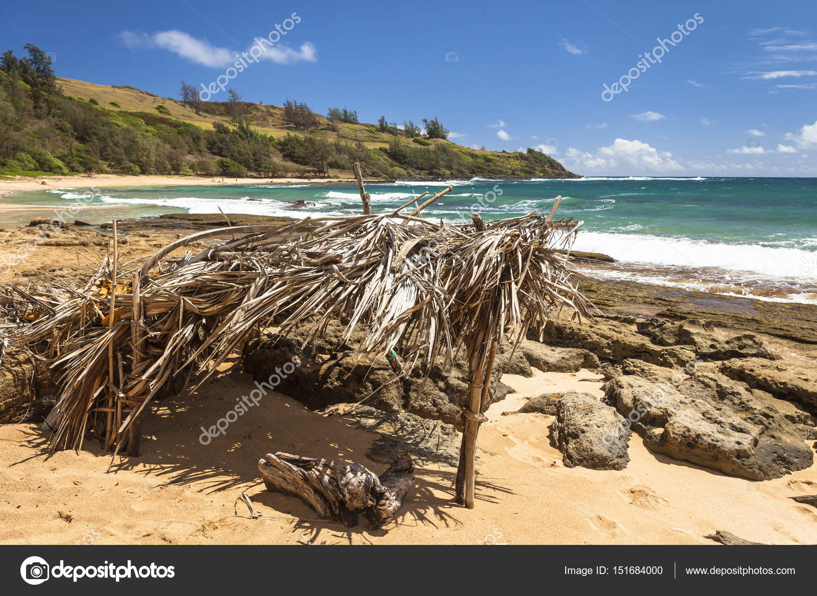 Cabane De Plage Oahu Hawaii Photographie Markpittimages