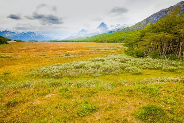 Beagle channel ushuaia patagonia argentina tierra del fuego — Φωτογραφία Αρχείου