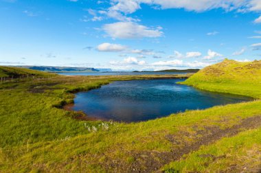 İzlanda manzara ına güneşli gün