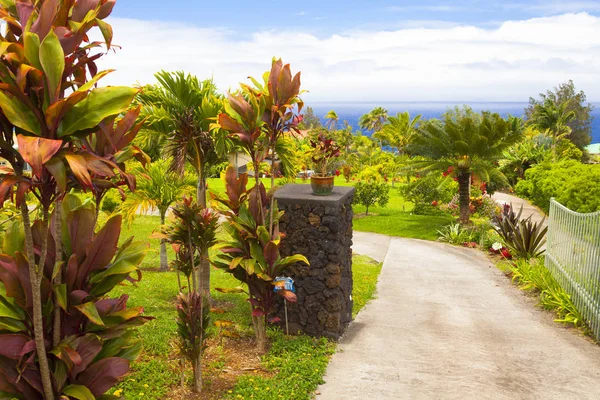 Big island hawaii a ocean front garden — Stock Photo, Image