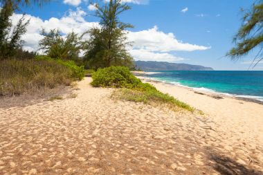 northshore oahu honululu hawaii plajda