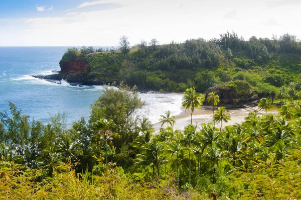 Beach in summer hawaii kawaii island united states — Stock Photo, Image