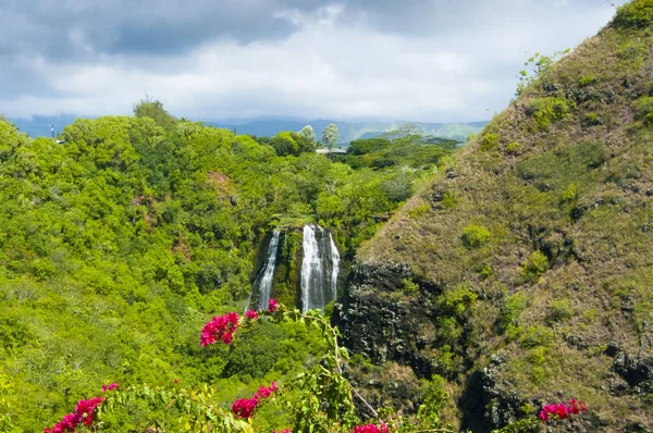 Island falls in the jungle hawaii kawaii island united states — Stock Photo, Image