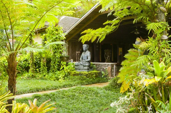Hawaii ház szobra a dzsungel kawaii hawaii Amerikai Egyesült Államok — Stock Fotó