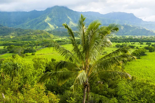 Panorama kawaii island  hawaii united states — Stock Photo, Image